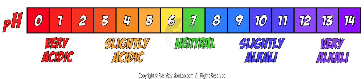 pH Scale